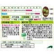 画像2: 送料無料　花の種　ストック　クリスマス混合　小袋（約120粒）タキイ種苗（株）NL200 (2)