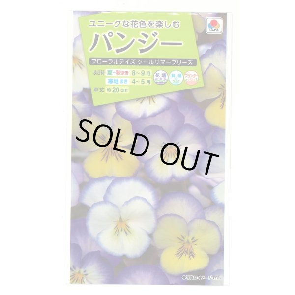 画像1: 送料無料　花の種　パンジー　フローラルデイズクールサマーブリーズ　小袋（約30粒）タキイ種苗（株）NL200 (1)