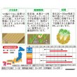 画像2: 送料無料　水菜　鍋物バッチリ水菜　水天２号　（株）サカタのタネ　実咲250（203246） (2)