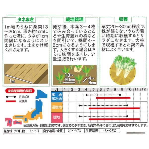 画像2: 水菜 鍋物バッチリ水菜 水天２号（約2000粒） (株)サカタのタネ 実咲250(203246) (2)