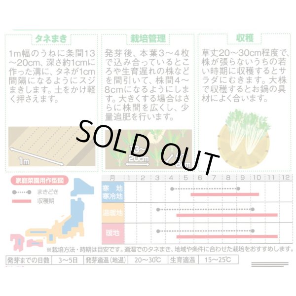画像2: 送料無料　水菜　鍋物バッチリ水菜　水天２号　（株）サカタのタネ　実咲250（203246） (2)