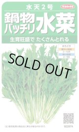 画像: 送料無料　[葉物]　水菜　鍋物バッチリ水菜　水天２号　（株）サカタのタネ　実咲250（203246）