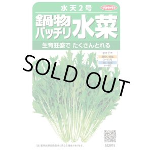 画像: 送料無料　[葉物]　水菜　鍋物バッチリ水菜　水天２号　（株）サカタのタネ　実咲250（203246）