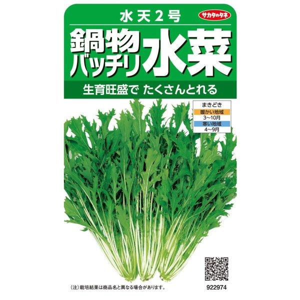 画像1: 水菜 鍋物バッチリ水菜 水天２号（約2000粒） (株)サカタのタネ 実咲250(203246) (1)