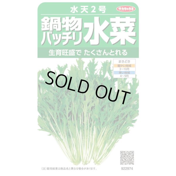 画像1: 送料無料　水菜　鍋物バッチリ水菜　水天２号　（株）サカタのタネ　実咲250（203246） (1)