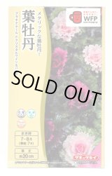 画像: 送料無料　花の種　葉牡丹　クリスタルワイン＆バニラ　小袋（約20粒）タキイ種苗（株）NL300