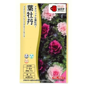 画像: 送料無料　花の種　葉牡丹　クリスタルワイン＆バニラ　小袋（約20粒）タキイ種苗（株）NL300