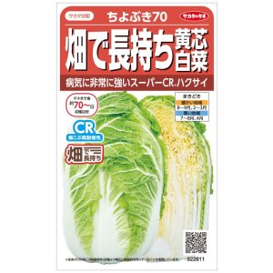 画像: 送料無料　[白菜]　ちよぶき70　約110粒　（株）サカタのタネ　実咲450（003426）