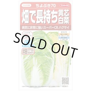 画像: 送料無料　[白菜]　ちよぶき70　約110粒　（株）サカタのタネ　実咲450（003426）