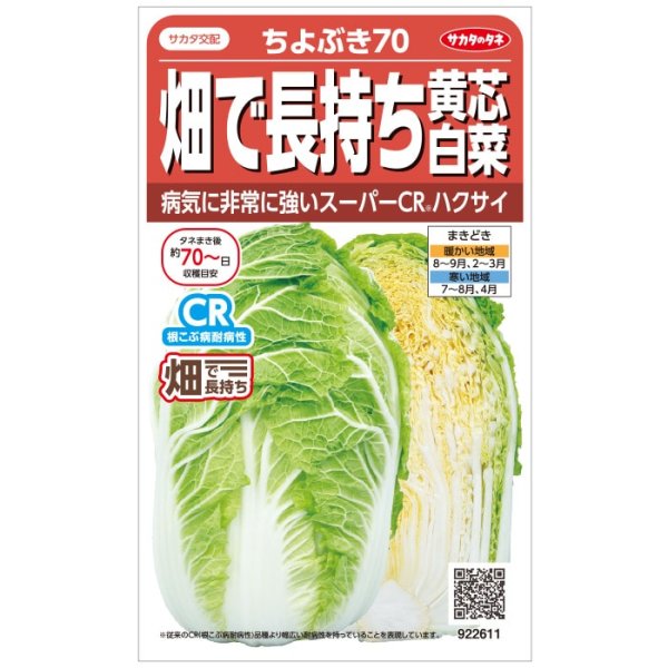 画像1: 送料無料　[白菜]　ちよぶき70　約110粒　（株）サカタのタネ　実咲450（003426） (1)