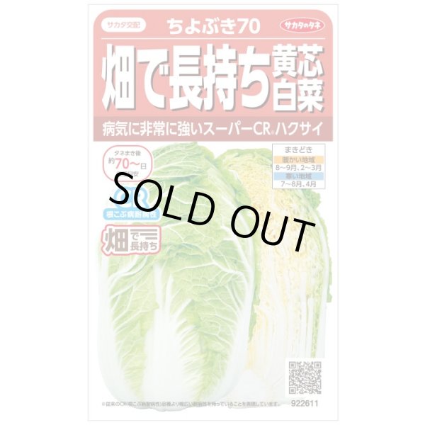 画像1: 送料無料　[白菜]　ちよぶき70　約110粒　（株）サカタのタネ　実咲450（003426） (1)