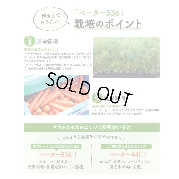 画像4: 送料無料[人参] ベーター536 ペレット1万粒 （株）サカタのタネ (4)