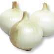 画像2: 送料無料　[たまねぎ]　ゆめたま　約250粒　（株）サカタのタネ　実咲450　（203247） (2)