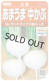 画像: 送料無料　[かぶ]　玉波　約900粒　（株）サカタのタネ　実咲450（003099）