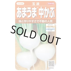 画像: 送料無料　[かぶ]　玉波　約900粒　（株）サカタのタネ　実咲450（003099）