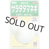 画像: 送料無料　[たまねぎ]　ゆめたま　約250粒　（株）サカタのタネ　実咲450　（203247）
