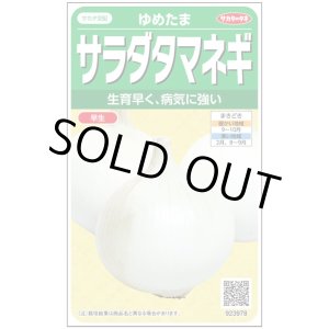 画像: 送料無料　[たまねぎ]　ゆめたま　約250粒　（株）サカタのタネ　実咲450　（203247）
