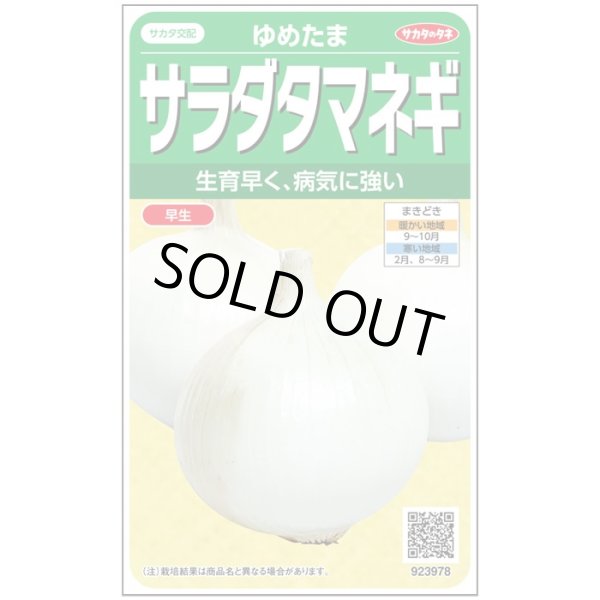 画像1: 送料無料　[たまねぎ]　ゆめたま　約250粒　（株）サカタのタネ　実咲450　（203247） (1)