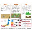画像2: 送料無料　[かぶ]　玉波　約900粒　（株）サカタのタネ　実咲450（003099） (2)