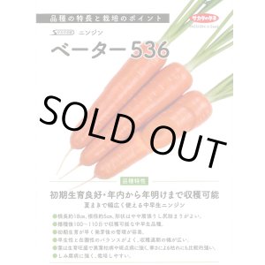 画像: 送料無料[人参]　ベーター536　ペレット1万粒　（株）サカタのタネ