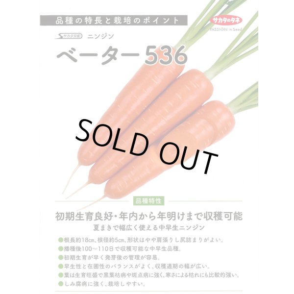 画像2: 送料無料[人参]　ベーター536　ペレット1万粒　（株）サカタのタネ (2)