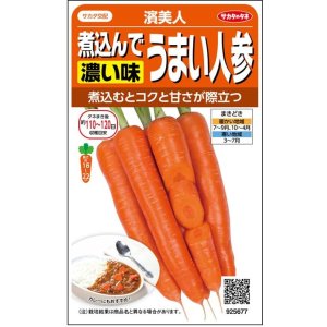 画像: 送料無料　[人参]　濱美人　約400粒　（株）サカタのタネ　実咲450