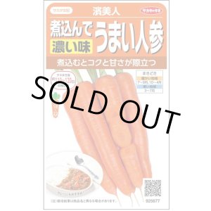画像: 送料無料　[人参]　濱美人　約400粒　（株）サカタのタネ　実咲450