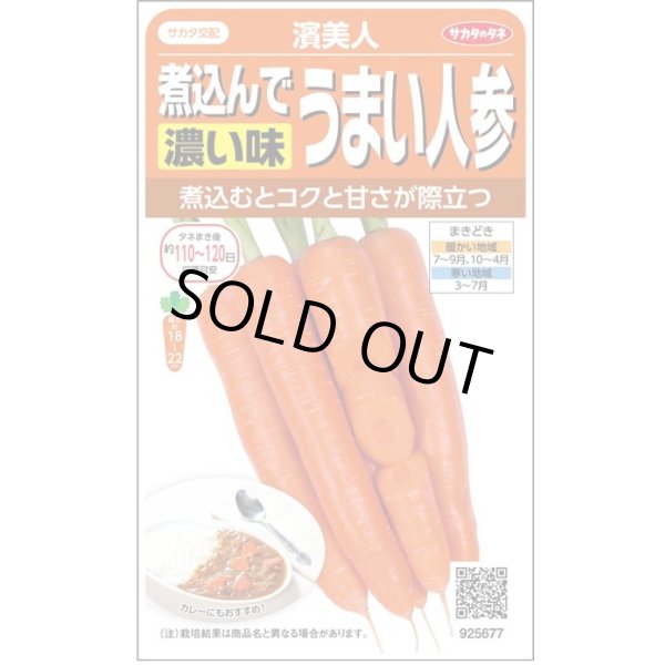 画像1: 送料無料　[人参]　濱美人　約400粒　（株）サカタのタネ　実咲450 (1)