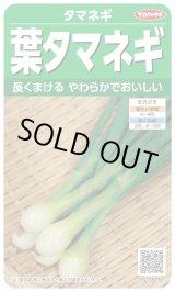 画像: 送料無料　[たまねぎ]　葉タマネギ　　約180粒　　（株）サカタのタネ　実咲350（203248）