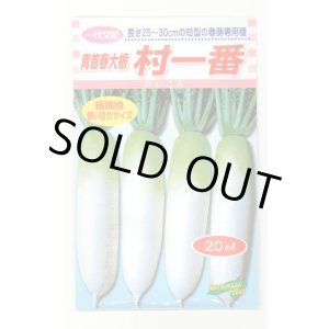 画像: 送料無料　[大根]　村一番　 20ml　松永種苗(株)