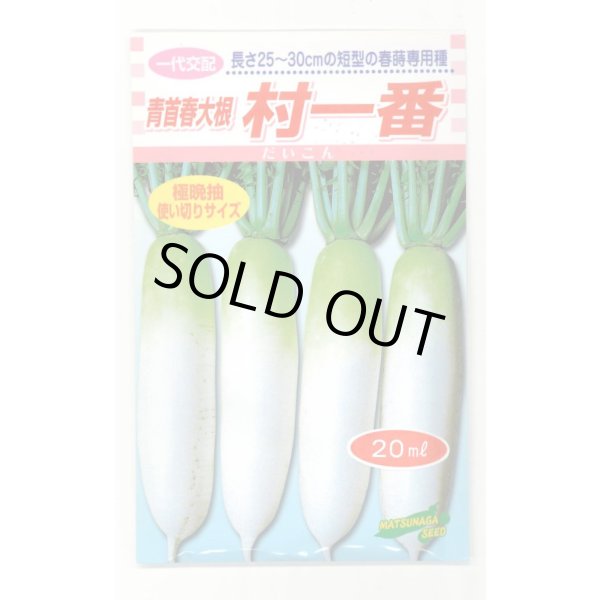 画像1: 送料無料　[大根]　村一番　 20ml　松永種苗(株) (1)