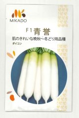 画像: 送料無料　大根種　青誉　500粒　ヴィルモランみかど（株）