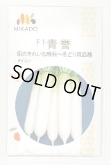 画像: 送料無料　大根種　青誉　500粒　ヴィルモランみかど（株）