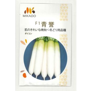 画像: 送料無料　大根種　青誉　500粒　ヴィルモランみかど（株）