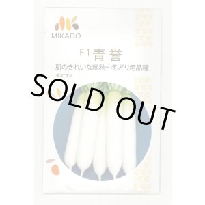 画像: 送料無料　大根種　青誉　500粒　ヴィルモランみかど（株）