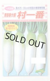 画像: 送料無料　[大根]　村一番　 小袋（3ml）　松永種苗(株)