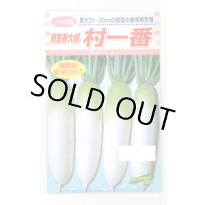 画像: 送料無料　[大根]　村一番　 小袋（3ml）　松永種苗(株)