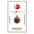 画像1: 送料無料　[トマト/マウロの地中海トマト]　トスカーナバイオレット　8粒　サナテックシード（株） (1)