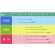 画像3: 送料無料　大根種　青誉　500粒　ヴィルモランみかど（株） (3)