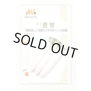 画像: 送料無料　大根種　豊誉　8000粒　ヴィルモランみかど（株）