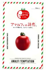 画像: 送料無料　[トマト/マウロの地中海トマト]　アマルフィの誘惑　8粒　サナテックシード（株）