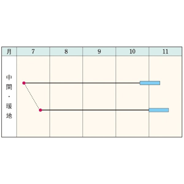 画像5: 送料無料　[豆類]　丹波大納言小豆（アズキ）　30ml（約90粒）　タキイ種苗（株）GF (5)