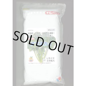 画像: [ほうれんそう] タフスカイ （種子サイズ：L）3万粒 タキイ種苗(株)