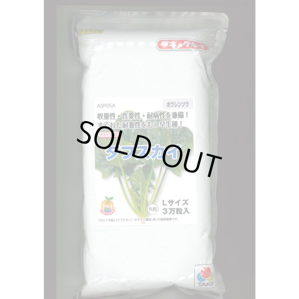 画像1: [ほうれんそう] タフスカイ （種子サイズ：L）3万粒 タキイ種苗(株) (1)