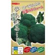 画像1: 送料無料　[ブロッコリー]　夢あたるコート40粒 ナント種苗（株） (1)