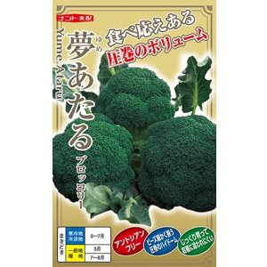 画像: 送料無料　[ブロッコリー]　夢あたるコート40粒 ナント種苗（株）