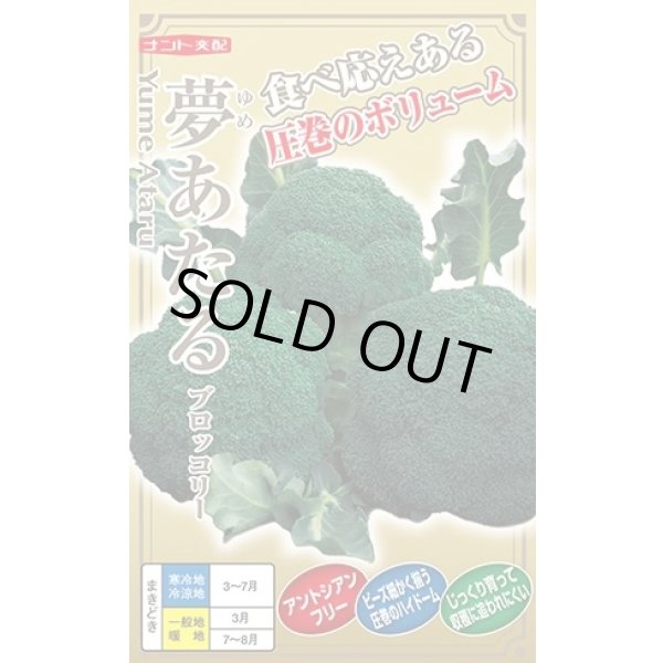 画像1: 送料無料　[ブロッコリー]　夢あたるコート40粒 ナント種苗（株） (1)