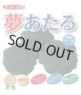 画像: 送料無料　[ブロッコリー]　夢あたるコート5千粒ナント種苗（株）