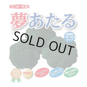 画像: 送料無料　[ブロッコリー]　夢あたるコート5千粒ナント種苗（株）