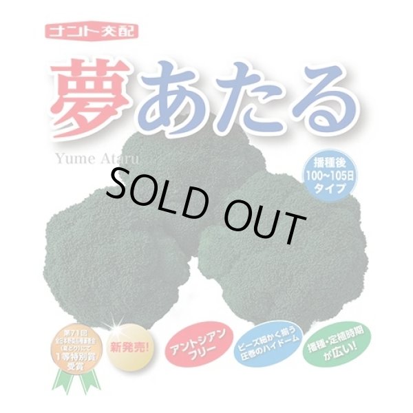 画像2: 送料無料　[ブロッコリー]　夢あたるコート40粒 ナント種苗（株） (2)